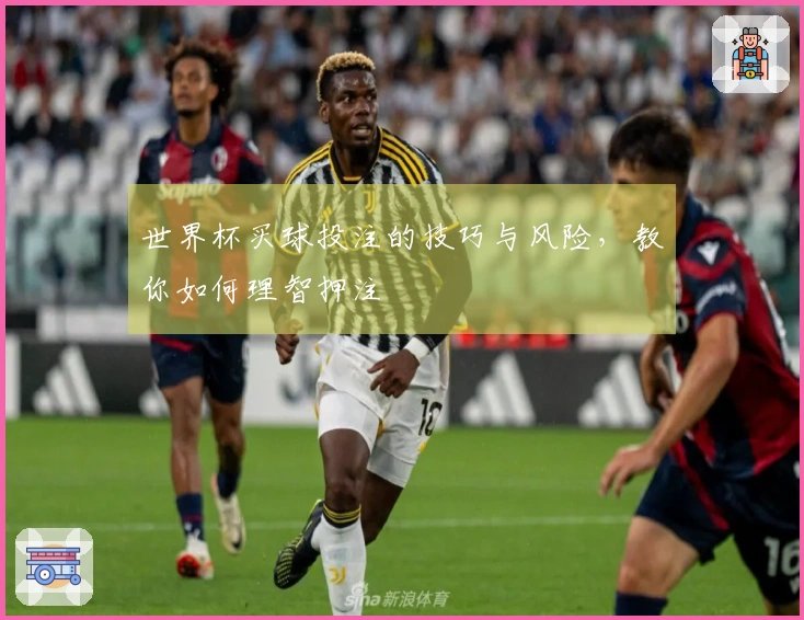 世界杯买球投注的技巧与风险，教你如何理智押注