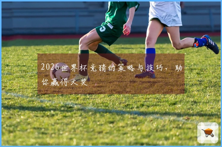 2026世界杯竞猜的策略与技巧，助你赢得大奖