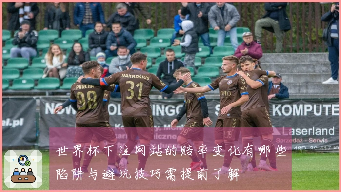 世界杯下注网站的赔率变化有哪些陷阱与避坑技巧需提前了解