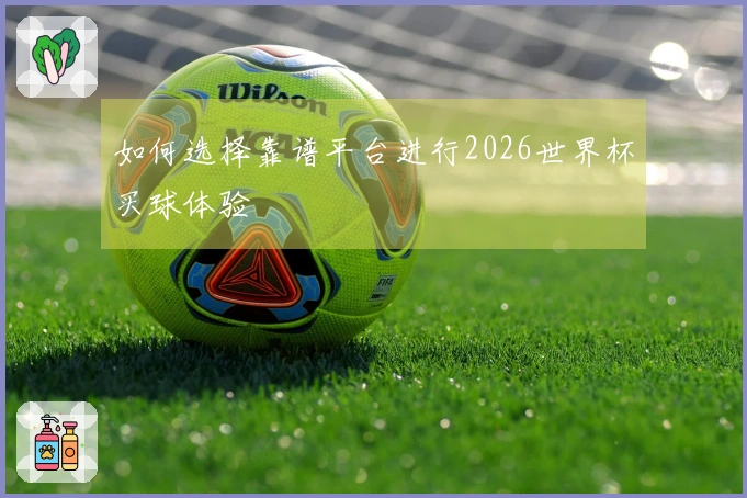如何选择靠谱平台进行2026世界杯买球体验