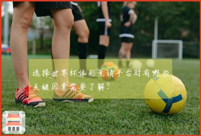 选择世界杯体彩竞猜平台时有哪些关键因素需要了解？