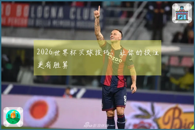 2026世界杯买球技巧，让你的投注更有胜算
