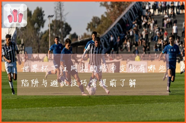 世界杯下注网站的赔率变化有哪些陷阱与避坑技巧需提前了解