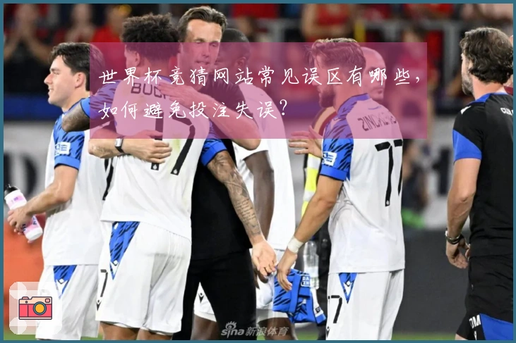 世界杯竞猜网站常见误区有哪些,如何避免投注失误?